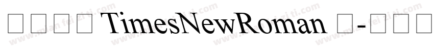 华文中宋 TimesNewRoman 常字体转换